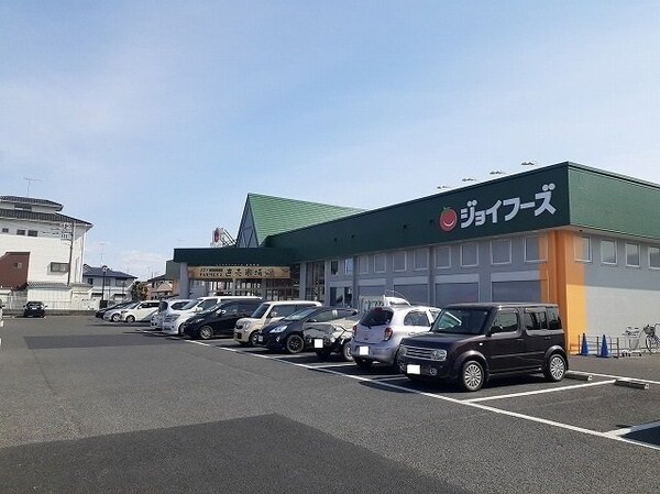 周辺環境(ジョイフーズ小山城南店まで450m)