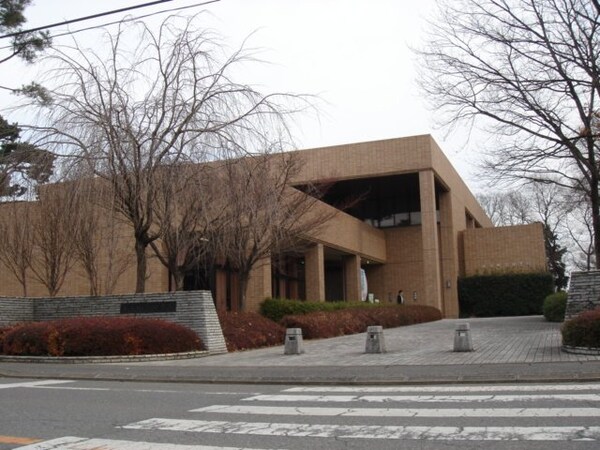 周辺環境(大平町図書館まで1,300ｍ)