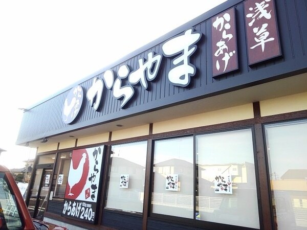 周辺環境(からやま栃木小山店まで550m)