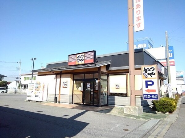 周辺環境(かつや栃木小山城南店まで350m)