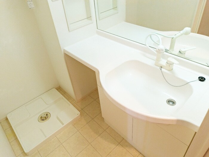 物件内観写真9　(大きなボウルの洗面台)