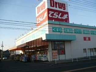 物件外観写真8　(ドラッグてらしま（ドラッグストア）まで2,500ｍ)