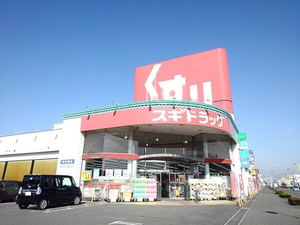 周辺環境(スギドラッグ小山西城南店まで230m)