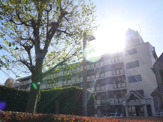 物件外観写真1　(外観)