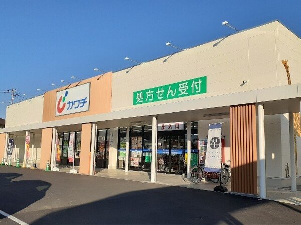 周辺環境(カワチ　石橋店まで800m)