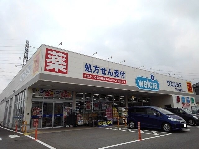 物件外観写真5　(ウエルシア下野小金井店まで400m)
