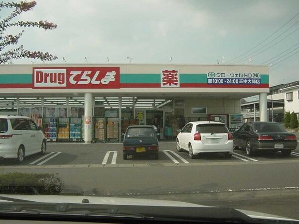 周辺環境(ドラッグてらしま壬生大師店まで752ｍ)