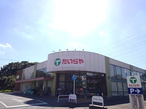 周辺環境(たいらや自治医大店まで750m)