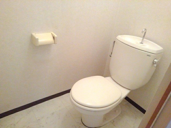 トイレ(コンパクトで使いやすいトイレです)