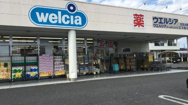 周辺環境(ウエルシア壬生大師店まで447ｍ)
