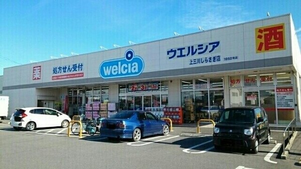 周辺環境(ウエルシア上三川しらさぎ店まで220m)