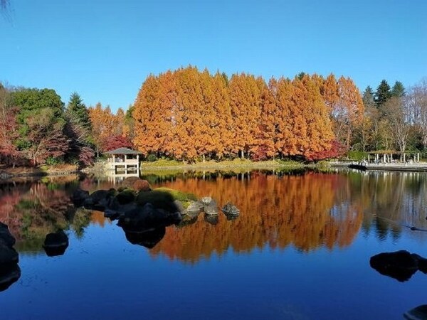 周辺環境(中央公園まで700m)