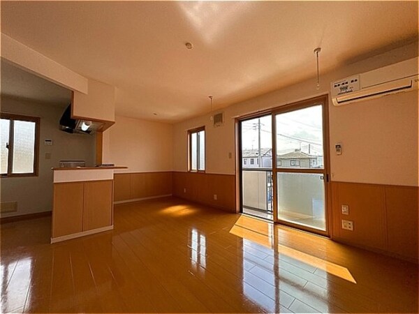 その他(ＬＤＫ)