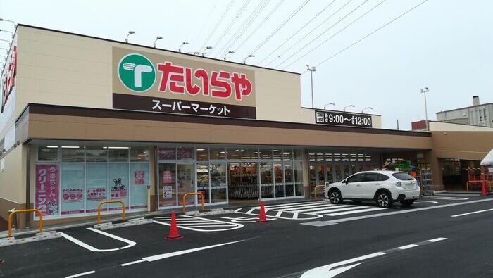 物件外観写真3　(たいらや城東店（487ｍ）)