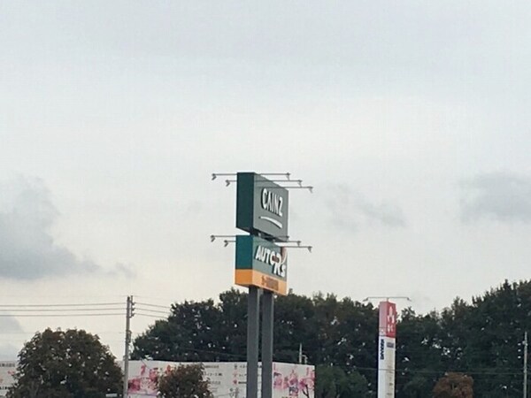 カインズ宇都宮平出店・オートアールズ宇都宮バイパス店（150