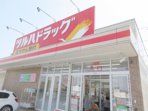 周辺環境(ツルハドラッグ 宇都宮平松本町店 377m)