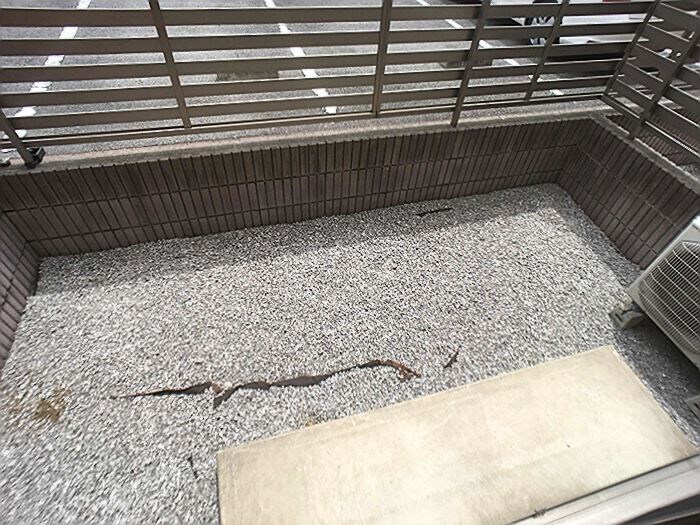 物件内観写真17　(専用庭)