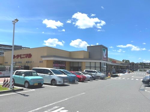 物件内観写真21　(ヨークベニマル戸祭店 642m)