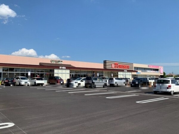 とりせん宝木店（600ｍ）