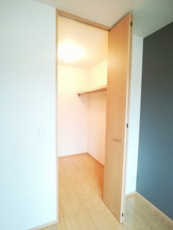 収納(ウォークインクローゼット)