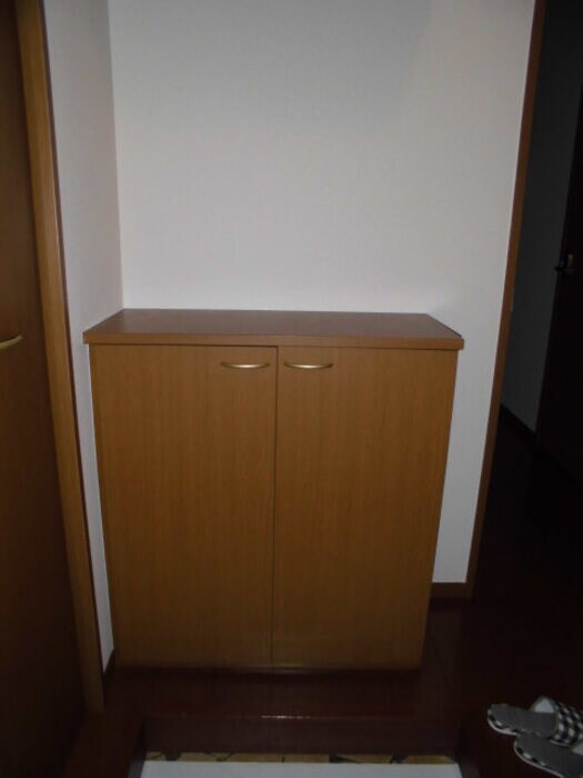 物件内観写真12　(シューズボックス)