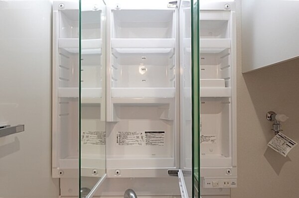 収納(洗面台・鏡裏収納)