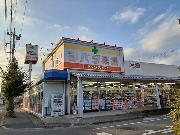 周辺環境(シバタ薬品住吉店まで600m)