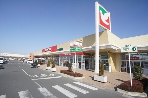 物件内観写真14　(ヨークベニマル結城四ツ京店 330m)