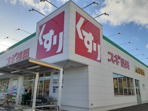 周辺環境(スギドラッグ小山若木店まで750m)