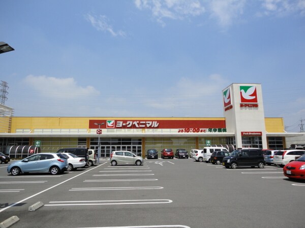 周辺環境(ヨークベニマル小山ゆうえんち店まで1,119ｍ)
