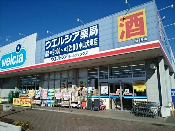 周辺環境(ウエルシア小山犬塚店まで300m)