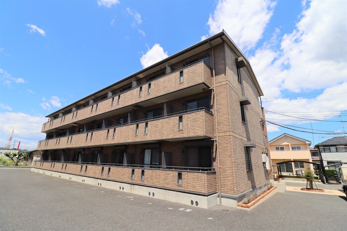 ロックパイン　Ｂ