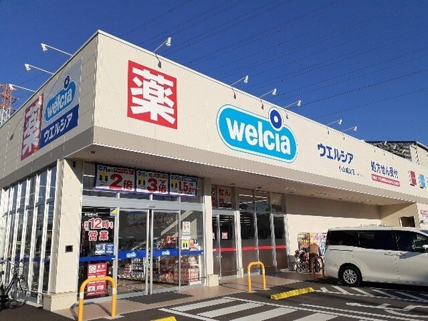 周辺環境(ウエルシア小山城北店まで250m)