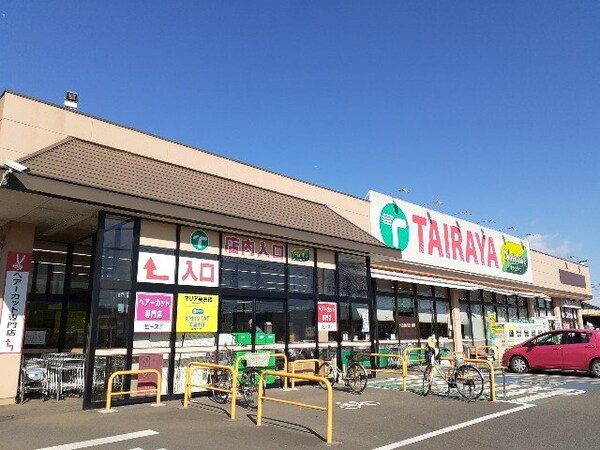 周辺環境(たいらや　関本店まで800m)