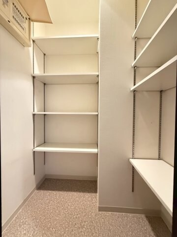 物件内観写真10　(シューズクローゼット)