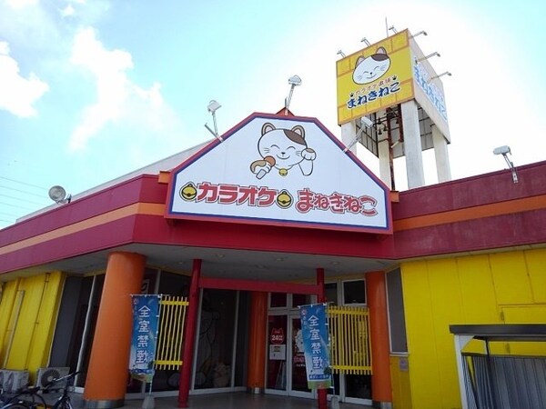 周辺環境(カラオケまねきねこ小山城北店まで250m)