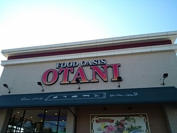 周辺環境(フードオアシスオータニまで450m)