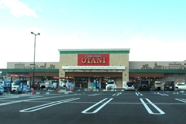 周辺環境(フードオアシスオータニ一の沢店（650ｍ）)