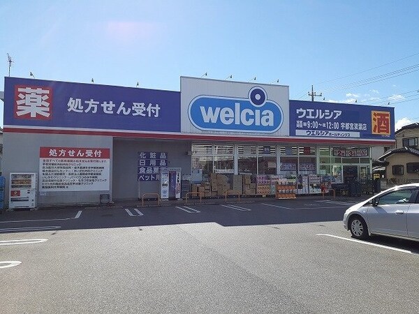 周辺環境(ウエルシア宇都宮双葉店まで600m)