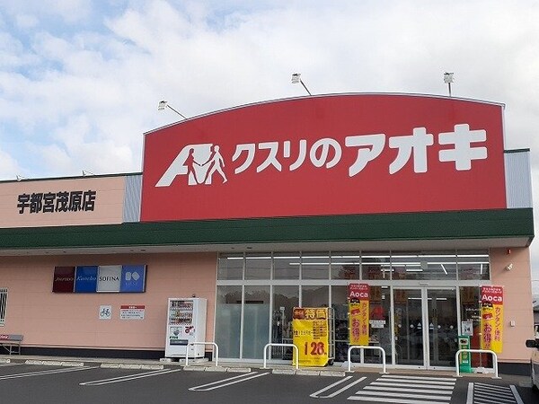 周辺環境(クスリのアオキ宇都宮茂原店まで1300m)