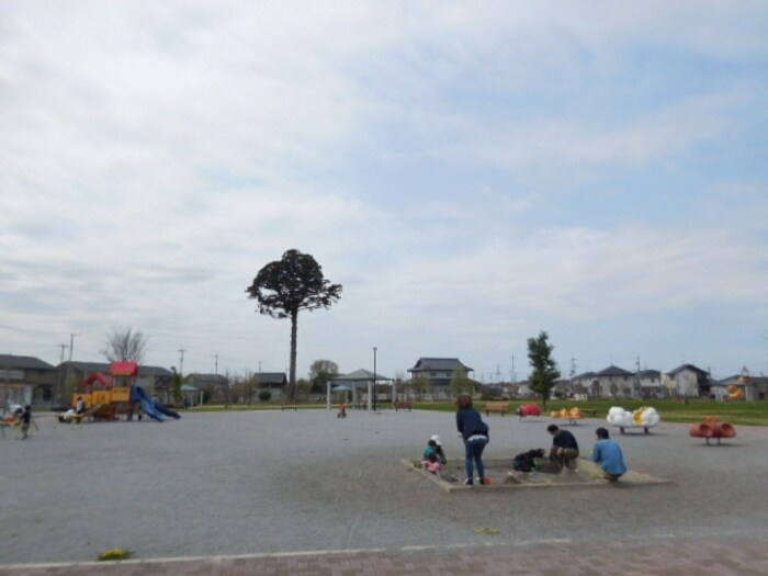 物件外観写真5　(大きな一本杉が目印のテクノ一本杉公園)