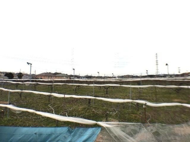 物件内観写真25　(眺望)