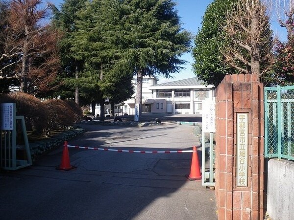 周辺環境(細谷小学校まで20m)