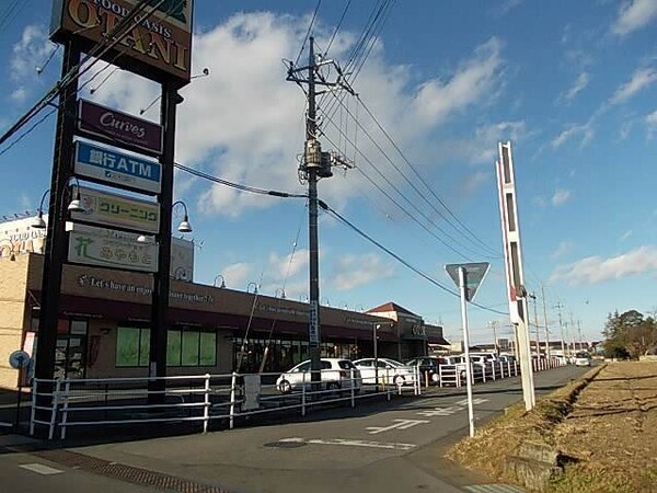 周辺環境(フードオアシスオータニ平松店まで500m)