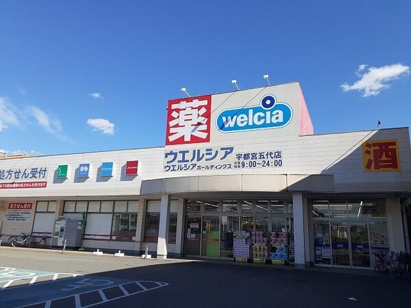 周辺環境(ウエルシア宇都宮五代店まで650m)