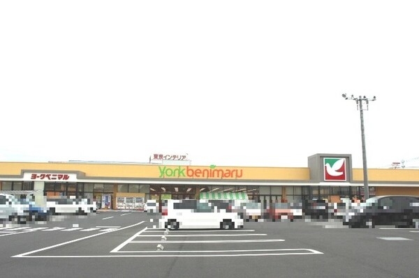 ヨークベニマル鶴田店（850ｍ）