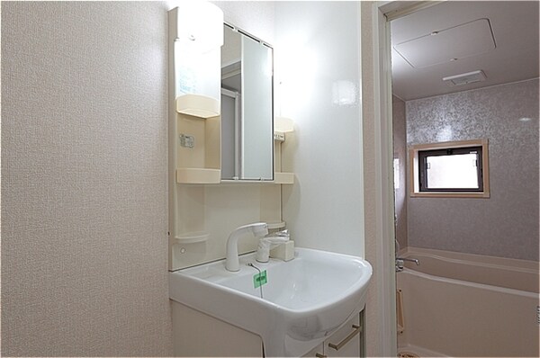 独立洗面台(洗髪洗面化粧台)