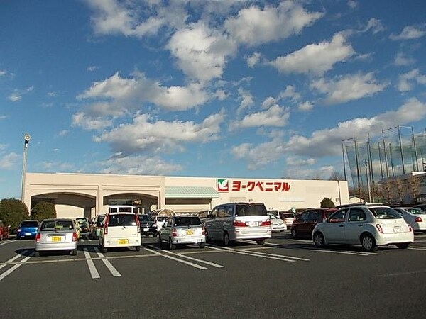 周辺環境(ヨークベニマル石井町店まで1680m)