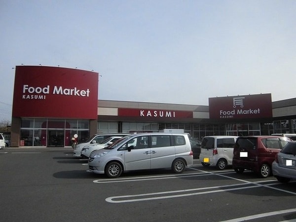 周辺環境(カスミまで30m)
