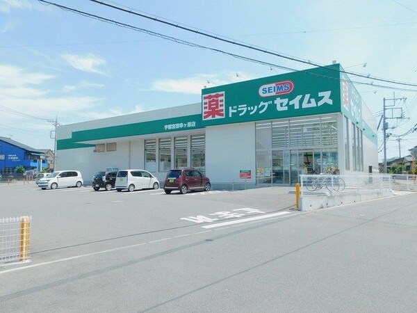 周辺環境(セイムス宇都宮御幸ヶ原店まで750m)